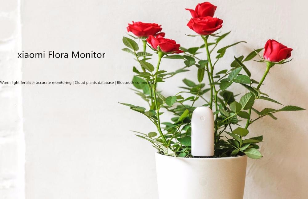 XIAOMI MI FLORA MONITOR - CHYTRÝ SENZOR PRO ROSTLINY